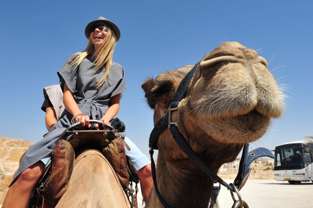 No Camel Toe -  Israel