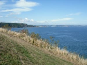 Views from the Pembrokeshire coast path