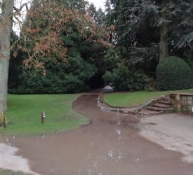 Flooded paths - Coombe Abbey Park